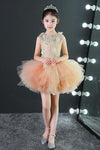 Girl Party Gown Lace Tulle With Detachable Train