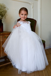 Little Girl Beautiful Lace Dress