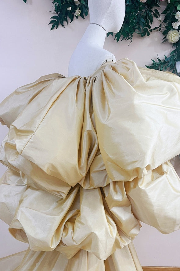 Champagne Long Taffeta Cape PuffySleeves