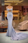 Light Blue Long Mermaid Evening Dress Illusion Sleeves