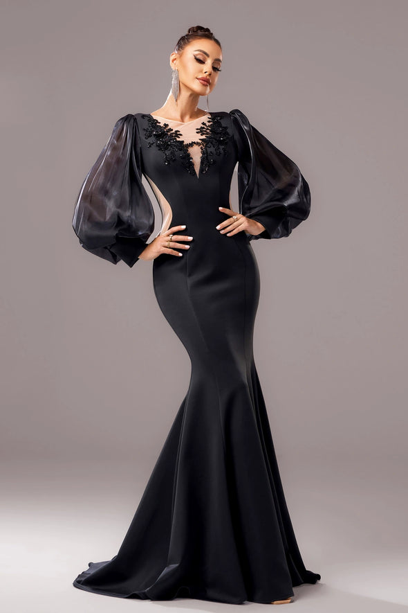 V Neck Mermaid Long Sleeves Elegant Evening Dress