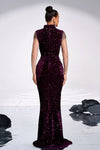 Grape Long Evening Dress Velvet Sequins Stand Neck