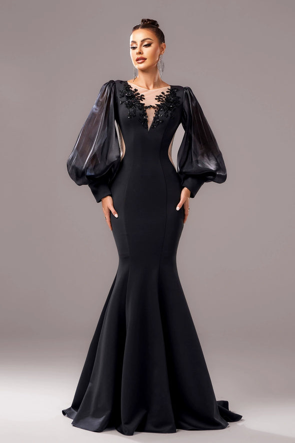 V Neck Mermaid Long Sleeves Elegant Evening Dress