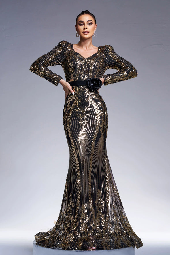 Long Sleeves Sequins V Neck Mermaid Evening Dress