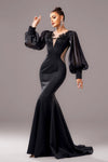 V Neck Mermaid Long Sleeves Elegant Evening Dress