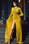 High Collar Gold Velvet Long Women Evening Dress